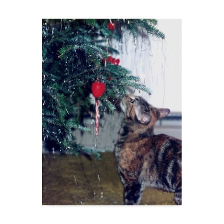 Audrey 'Cat And The Christmas Tree' Canvas Art,35x47